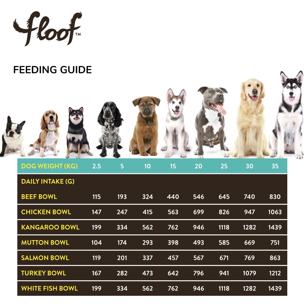 Turkey Bowl - Image 4